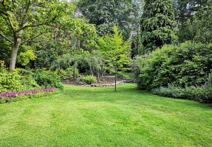 Optimiser l'expérience du jardin à Villeneuve